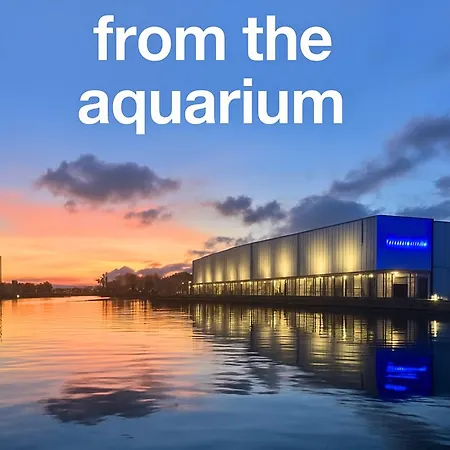 Centro Storico Caruggi 2min Acquario Pellicceria Superior Loft Palazzo Rolli Genoa